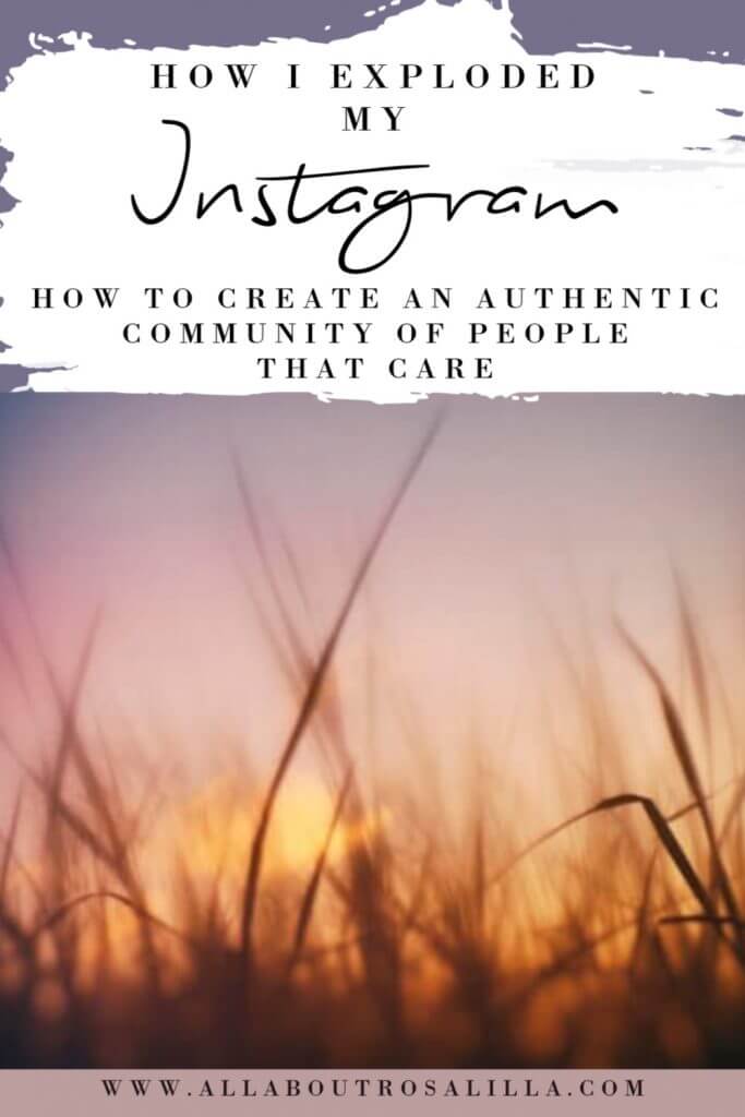 Image of reeds at sunset with Text overlay how to grow your instagram account organically in 2022