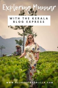 Exploring Munnar with the Kerala Blog Express. The stunning landscape of the tea plantations and learning how tea is made in the Lockhart Tea Factory in the hill station Munnar in Kerala, India. Read more on www.ouruniquestays.com