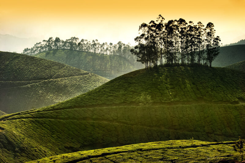 Scenic sunrise over the mist-covered mountains and valleys of Munnar, creating a magical atmosphere.
