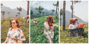 kerala a beginner's guide to India all about RosaLilla