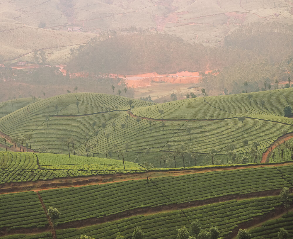 Exploring Munnar with the Kerala Blog Express. The stunning landscape of the tea plantations and learning how tea is made in the Lockhart Tea Factory in the hill station Munnar in Kerala, India. Read more on www.ouruniquestays.com