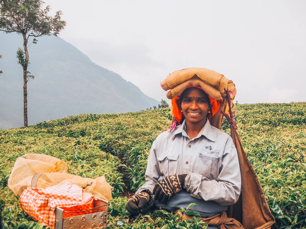 Exploring Munnar with the Kerala Blog Express. The stunning landscape of the tea plantations and learning how tea is made in the Lockhart Tea Factory in the hill station Munnar in Kerala, India. Read more on www.ouruniquestays.com