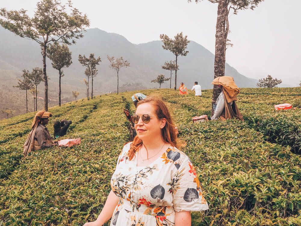 Exploring Munnar with the Kerala Blog Express. The stunning landscape of the tea plantations and learning how tea is made in the Lockhart Tea Factory in the hill station Munnar in Kerala, India. Read more on www.ouruniquestays.com