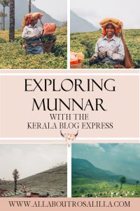 Exploring Munnar with the Kerala Blog Express. The stunning landscape of the tea plantations and learning how tea is made in the Lockhart Tea Factory in the hill station Munnar in Kerala, India. Read more on www.ouruniquestays.com