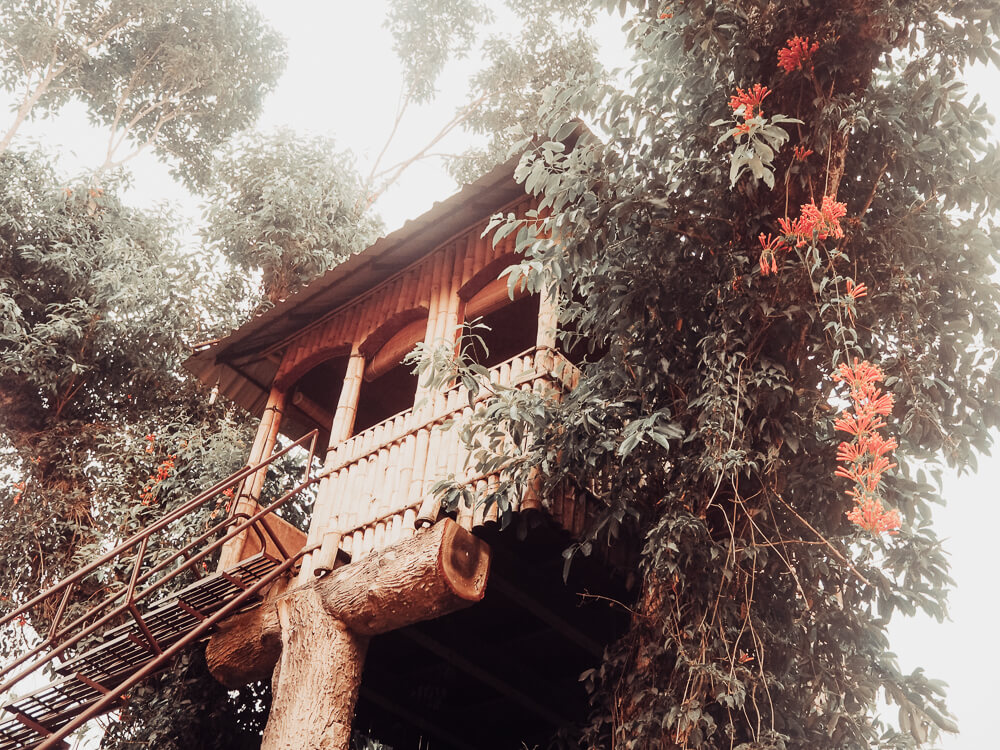 Exploring Munnar with the Kerala Blog Express. The stunning landscape of the tea plantations and learning how tea is made in the Lockhart Tea Factory in the hill station Munnar in Kerala, India. Read more on www.ouruniquestays.com