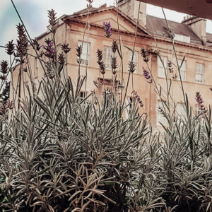 No.15 Great Pulteney: is this Bath's most unique hotel? There are so many beautiful places to stay in the city of Bath but No.15 Great Pulteney is in a class of its own. Not only is it a luxury boutique hotel that is on the pulse, but, in my opinion No.15 Great Pulteney is one of the most unique hotels I've stayed in. Read more on www.ouruniquestays.com