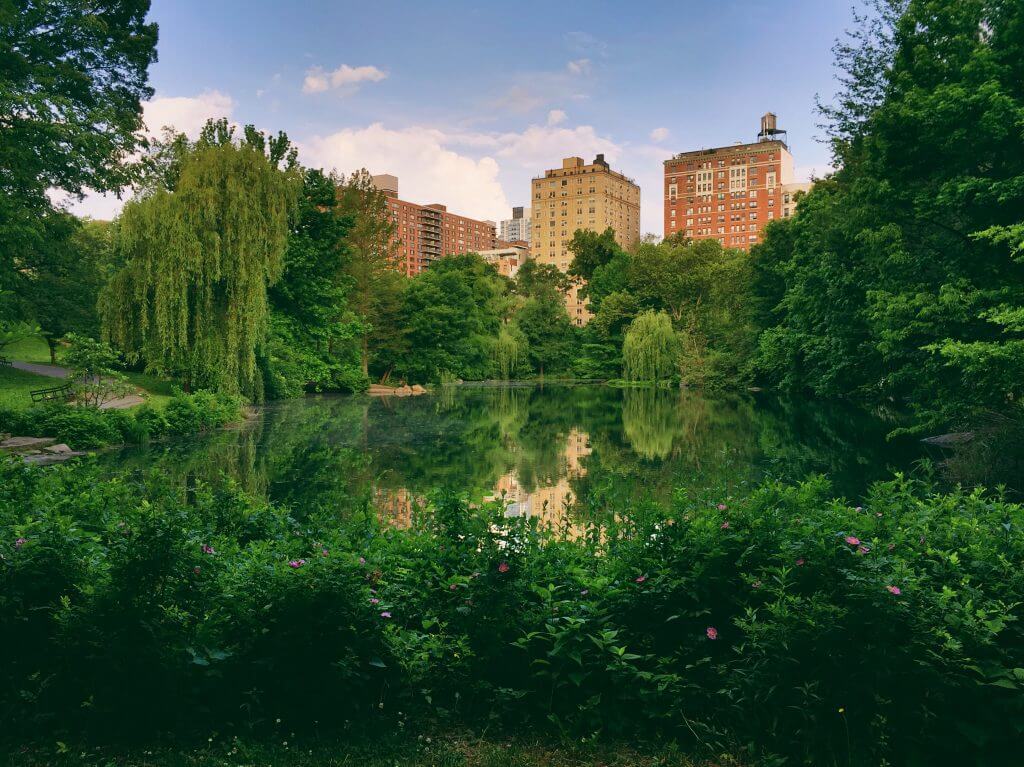 Spend your summer strolling around Central Park. Read more on www.ouruniquestays.com