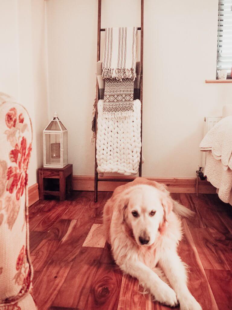 Your guide on Autumn home decor