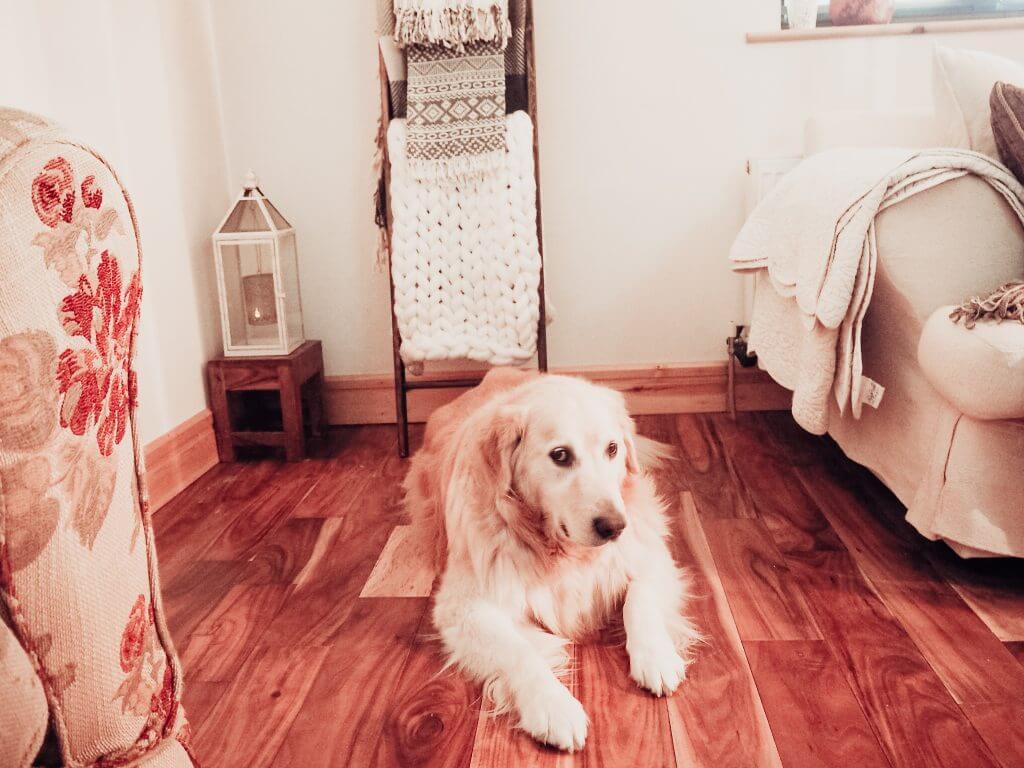 There are so many ways to decorate your home in a fun and festive way for Fall. I personally love bringing some warmth and cosiness to my home at this time of year. Temperatures dip during the Autumn months so it is the perfect time to add warmth to your home with your Fall decor. I want to show you how I have decorated my home with my guide on how to decorate your home for Fall.