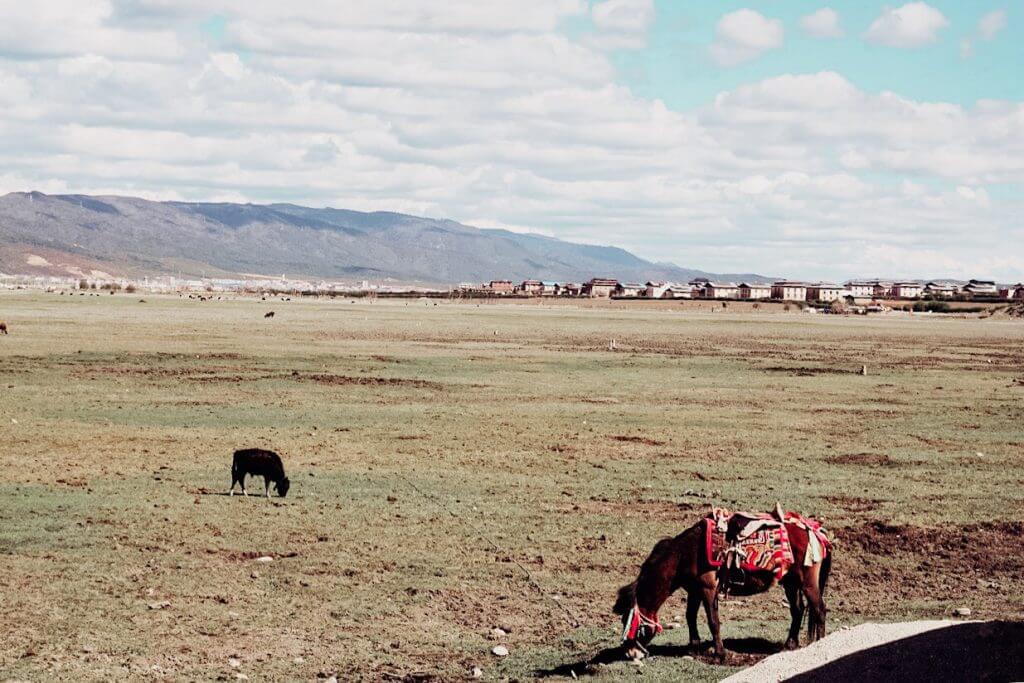 A comprehensive month by month guide on the best places to visit based on calendar month. Read more on www.ouruniquestays.com