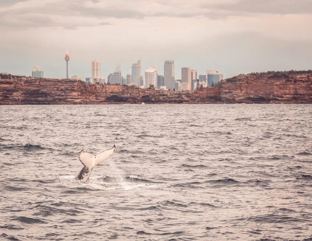 A comprehensive month by month guide on the best places to visit based on calendar month. Read more on www.ouruniquestays.com