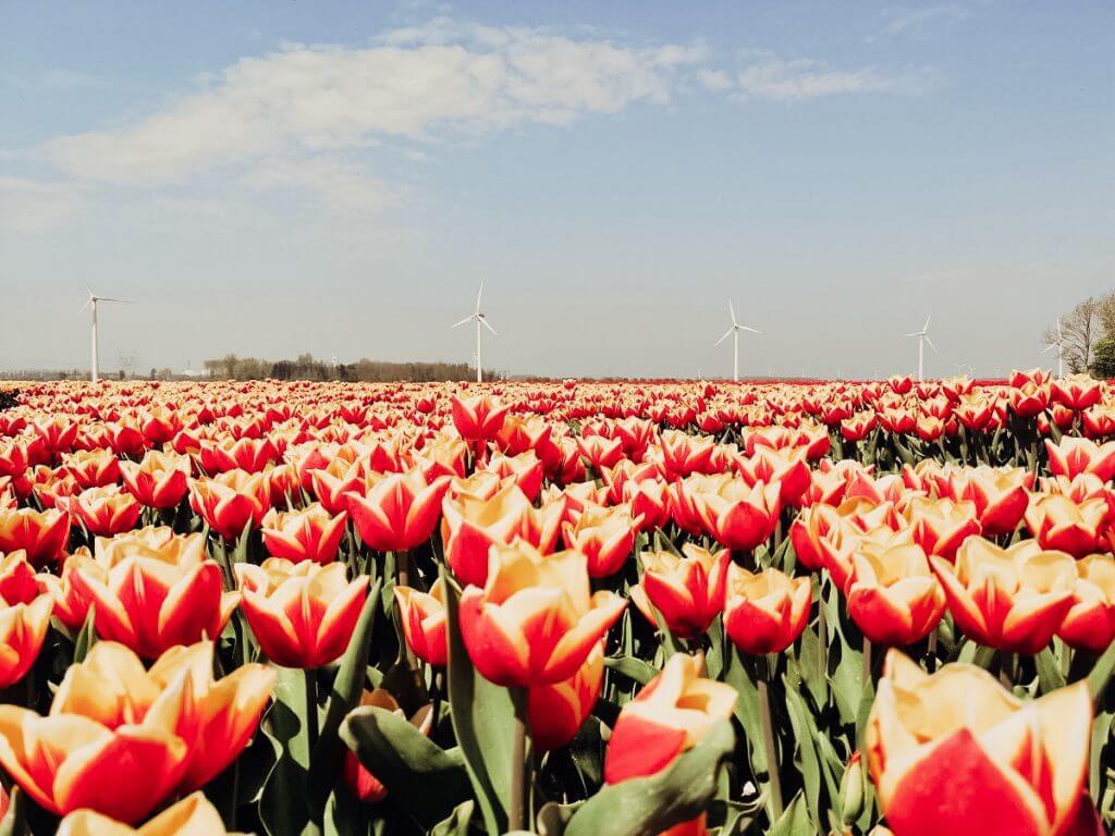 A comprehensive month by month guide on the best places to visit based on calendar month. Read more on www.ouruniquestays.com