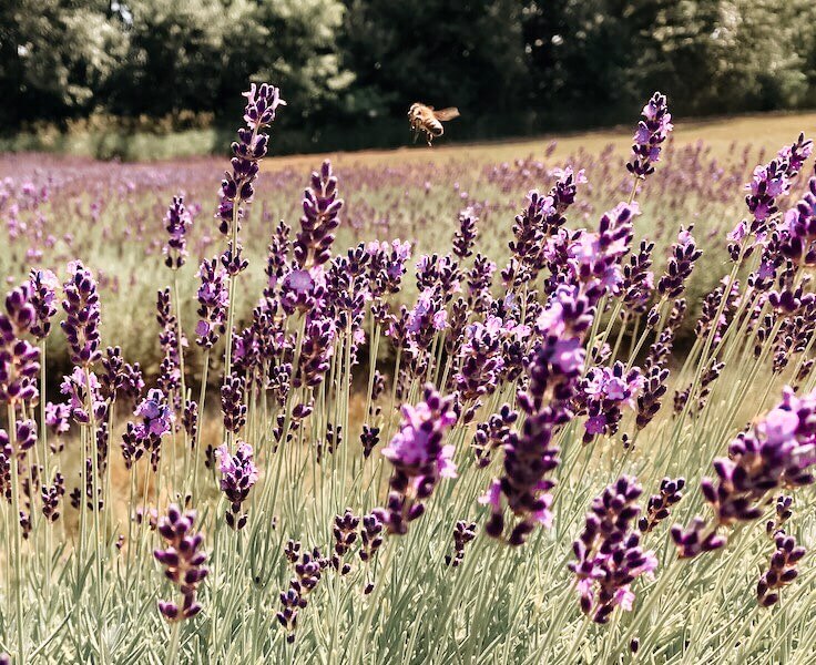 A comprehensive month by month guide on the best places to visit based on calendar month. Read more on www.ouruniquestays.com