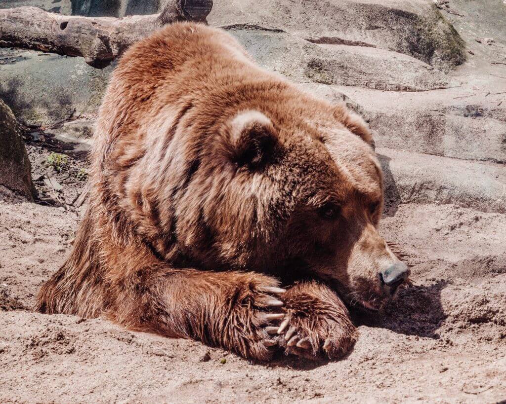 If you want to see an alternative Warsaw, then you need to check out my walking guide of Praga in Warsaw. Read more on www.ouruniquestays.com #warsaw #visitwarsaw #explorewarsaw