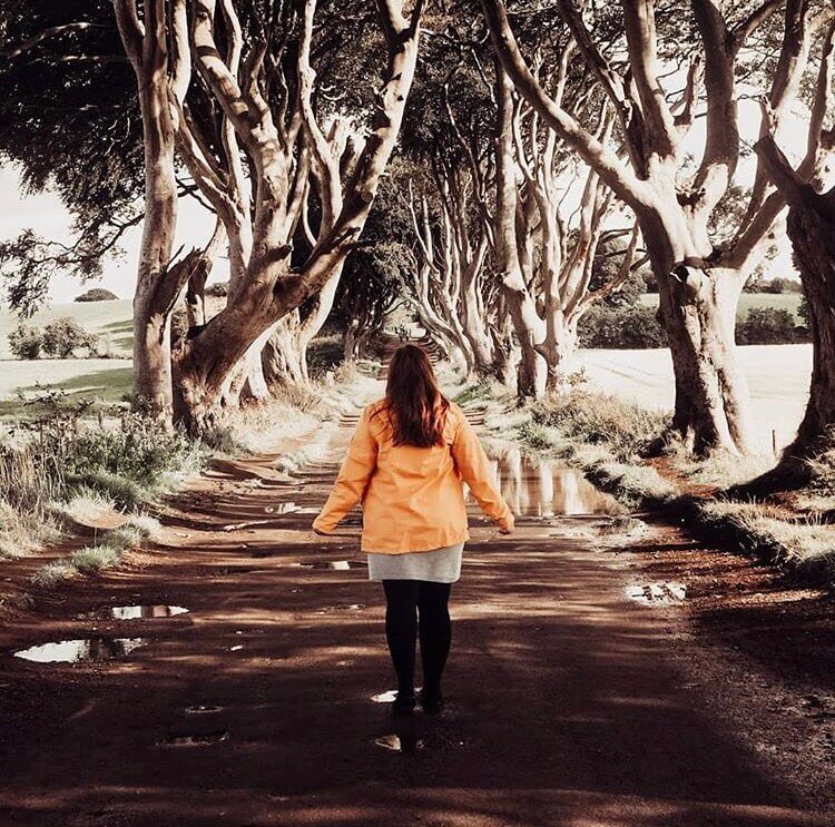 The Dark Hedges in Northern Ireland