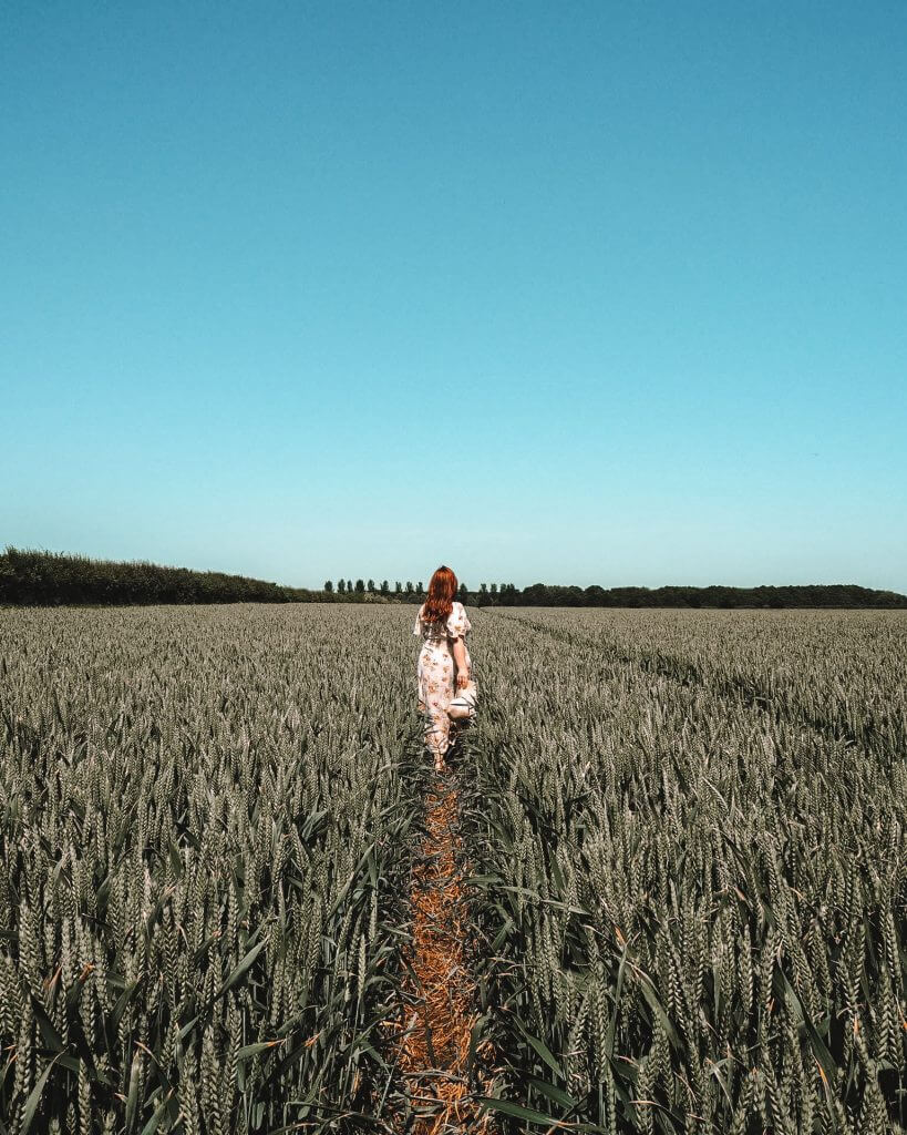 Women standing in a cornfield in The Cotswolds