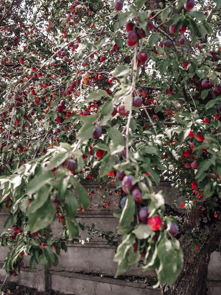 By the Lake. An exclusive place to stay in Bucharest. Read more on www.ouruniquestays.com