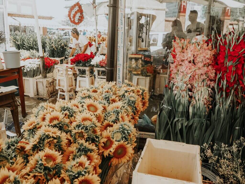 Visiting the Roma flower markets in Bucharest Romania