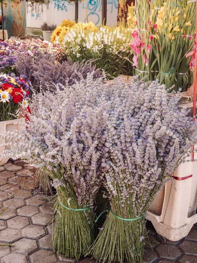 Visiting the Roma flower markets in Bucharest Romania