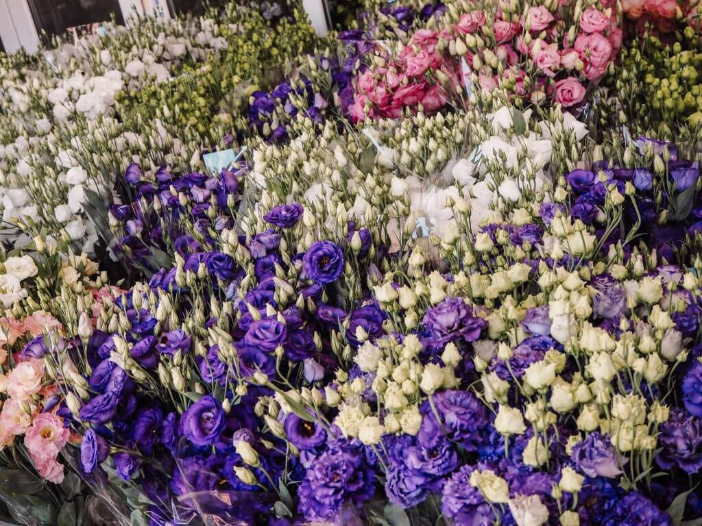 Visiting the Roma flower markets in Bucharest Romania