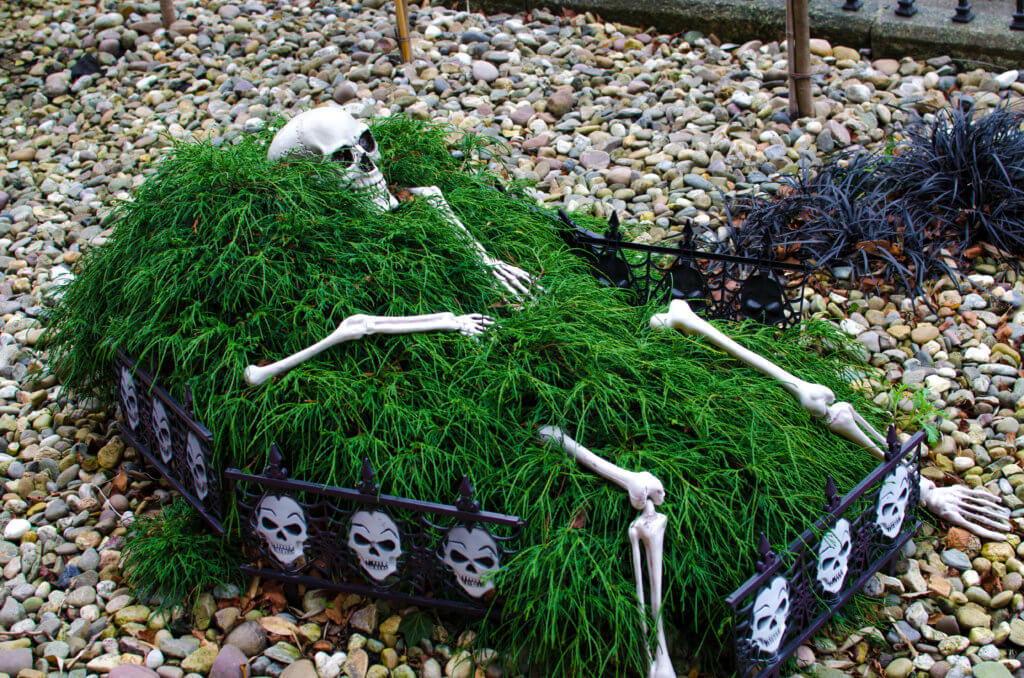 Skeleton in a grave Halloween decoration at Derry Halloween