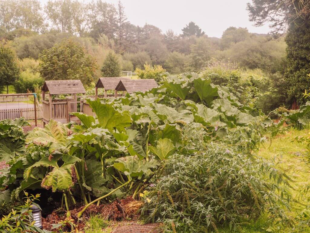 Playground at The Cornwall Hote and Spa. Read more on www.ouruniquestays.com