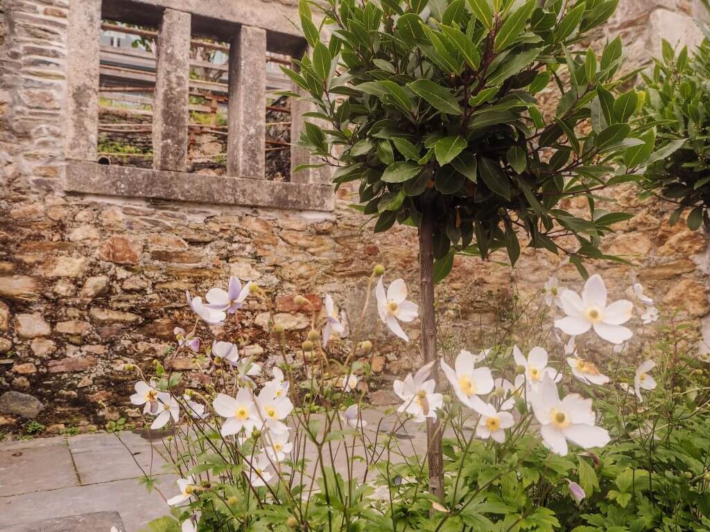 Old ruins in Cornwall. Read more on www.ouruniquestays.com