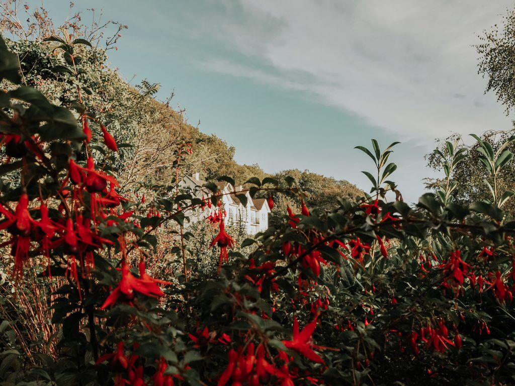 The Cottage in the Wood overlooking the Severn valley in Malvern