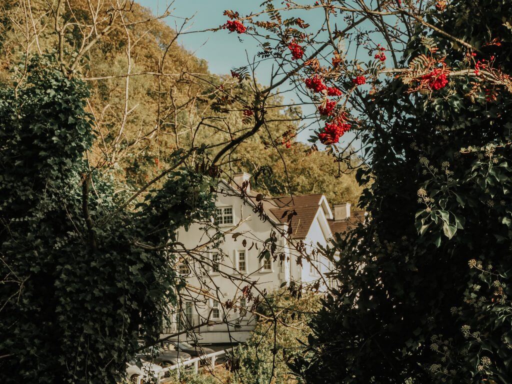 The Cottage in the Wood overlooking the Severn valley in Malvern