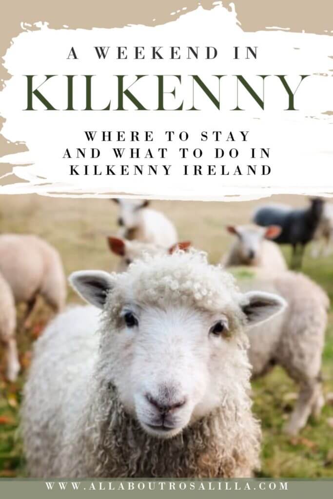 Wondering what the best things to do in Kilkenny, Ireland are? My guide will help you plan a weekend in Kilkenny including things to do, where to eat and where to stay in Kilkenny, a beautiful medieval town in the South East of Ireland. Tips on visiting Kilkenny Castle, The Medieval Mile and Smithwick's Brewery #kilkenny #kilkennyireland #kilkennycastle #kilkennyirelandthingstodoin #kilkennyfood