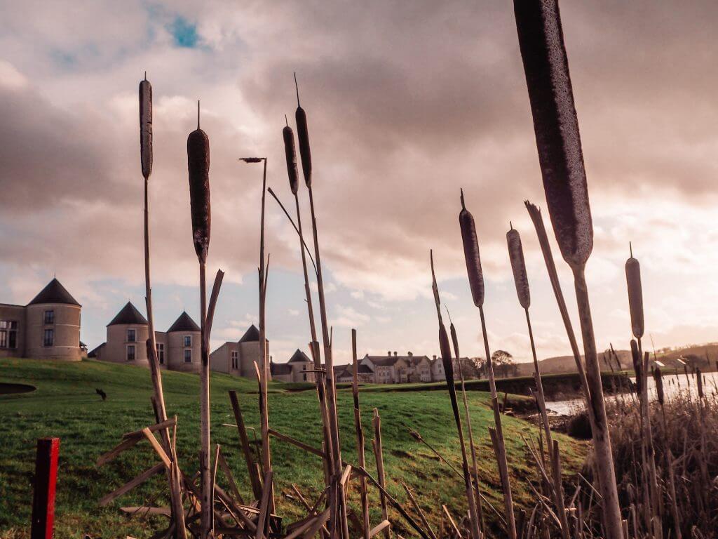 Lough erne resort seen through the reeds of Castle Hume Lough