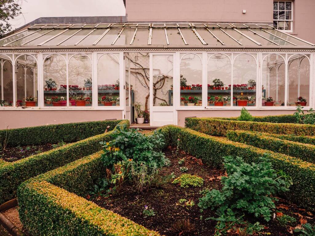 Greenhouse for growing pineapples in Hillsborough Castle