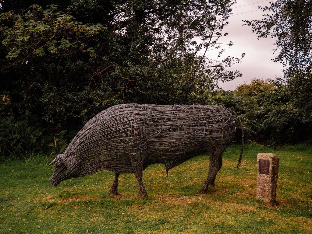 Greenan farm and maze a fun thing to do in Wicklow Ireland on a staycation