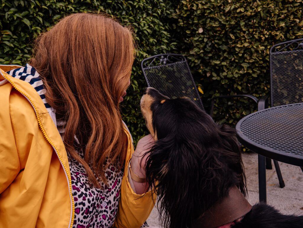 Woman petting an Afghan Hound