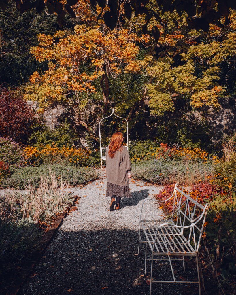 Luxury at Ashford castle ireland. A woman with long auburn hair is walking away from the camera down a gravel path in a walled garden at Ashford Castle. She is wearing a grey cardigan and a dark, patterned midi skirt.
The path is lined with lush flower beds containing yellow and orange blooms. A white decorative metal bench sits in the bottom right foreground, while a matching white metal archway stands further down the path. In the background, a large tree with vibrant yellow autumn leaves leans over the stone garden wall, framed by dense green forest foliage.