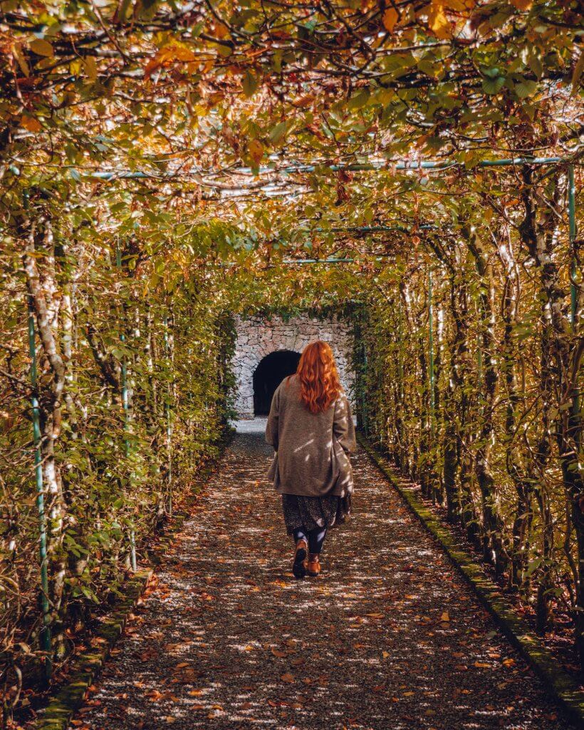 A woman with long auburn hair is walking away from the camera down a straight gravel path that forms a natural tunnel. The tunnel is created by tall, thin trees and hedging on either side, with their branches arching overhead to form a dense canopy of green and golden autumn leaves.
Dappled sunlight filters through the foliage, casting soft shadows on the ground. At the end of the long leaf-covered corridor, a rustic stone wall with a dark arched opening is visible, leading deeper into the grounds of Ashford Castle.