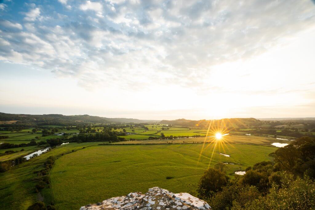 Dinefwr Park, Carmarthenshire, Wales