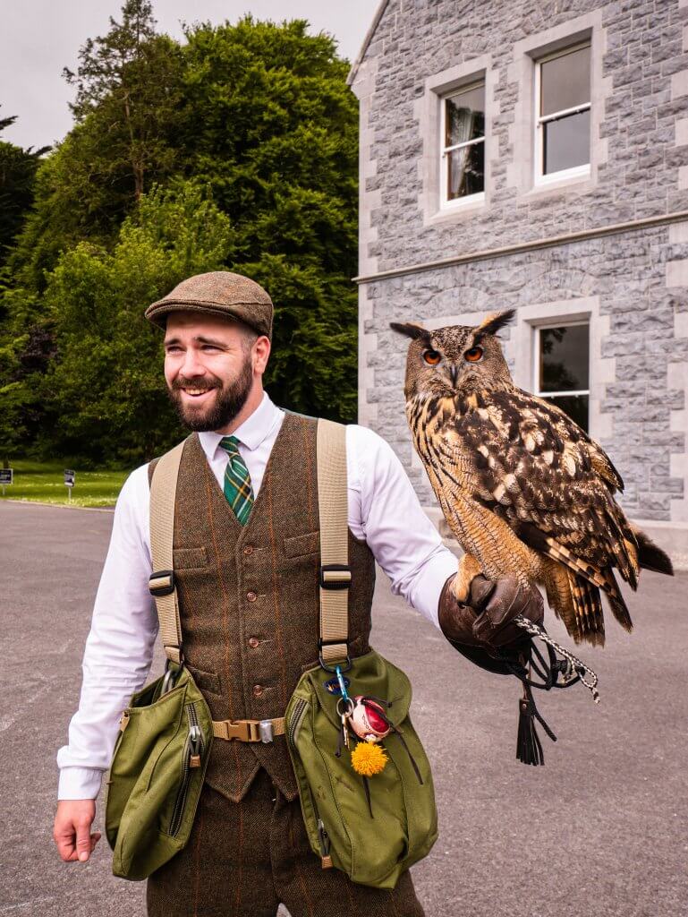 Falconer holding a Eurasian Eagle Owl at Mount Falcon Ireland