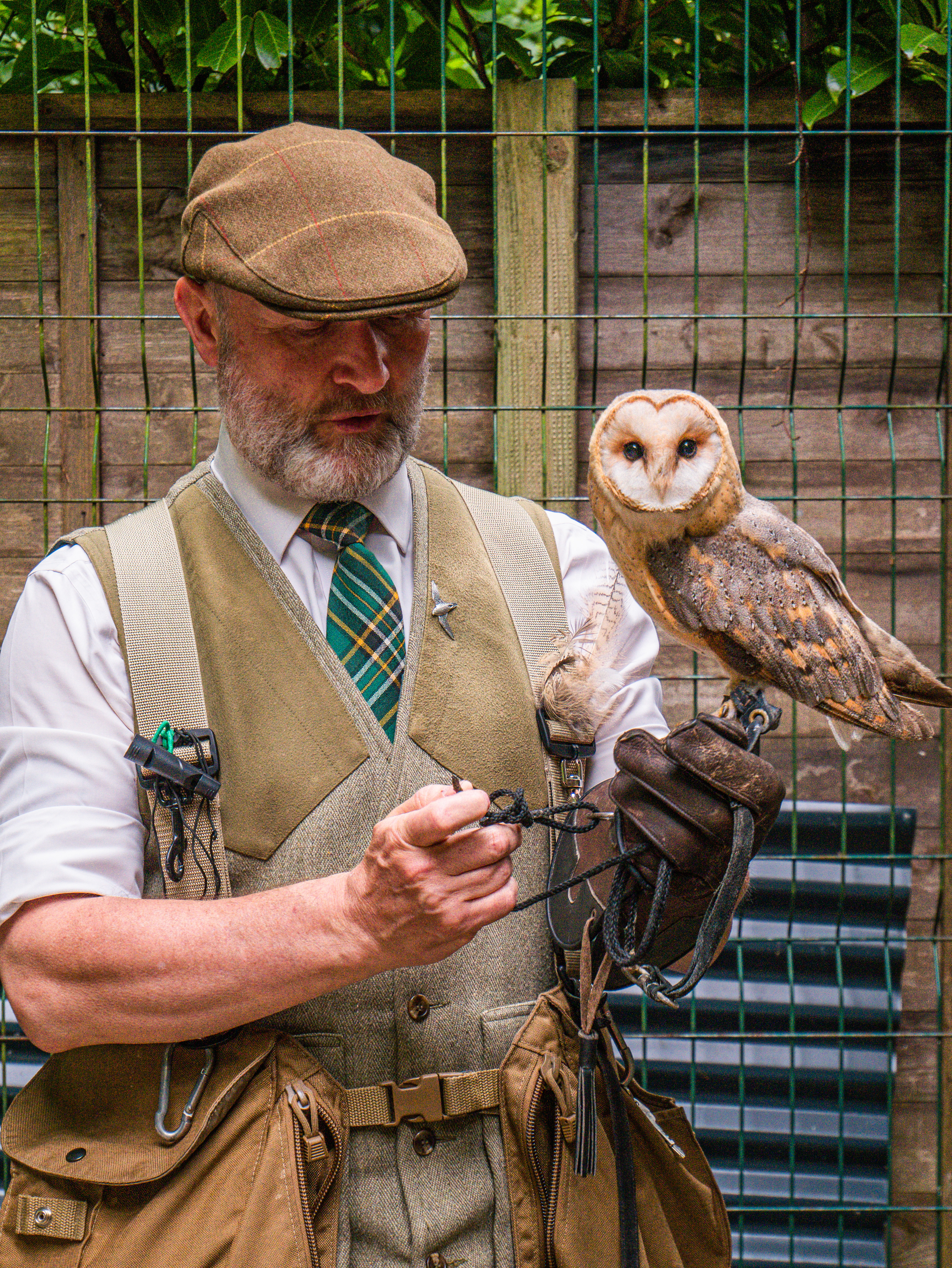 Falconer holding a barn owl at Mount Falcon