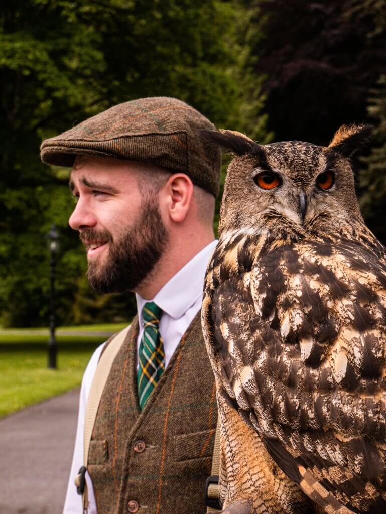 Falconer holding a Eurasian Eagle Owl at Mount Falcon