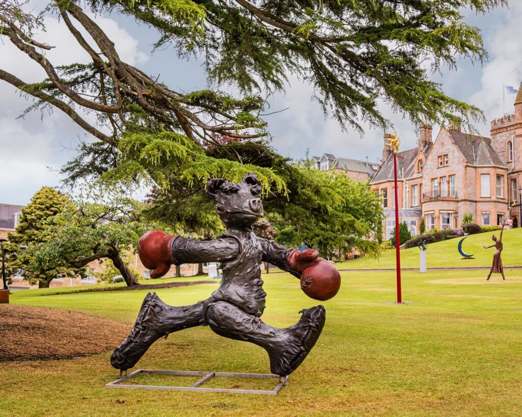 Patrick O'Reilly Boxing Bear at Art & Soul Culloden