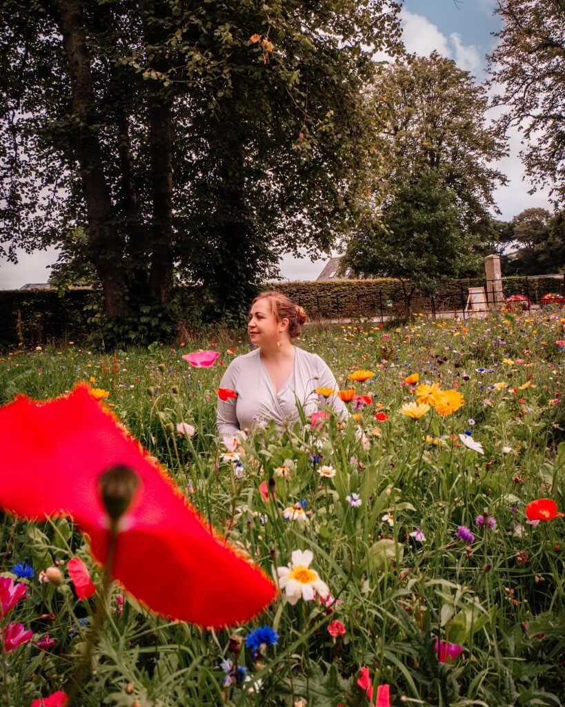 Wildflower garden at Glenarm Castle in Antrim