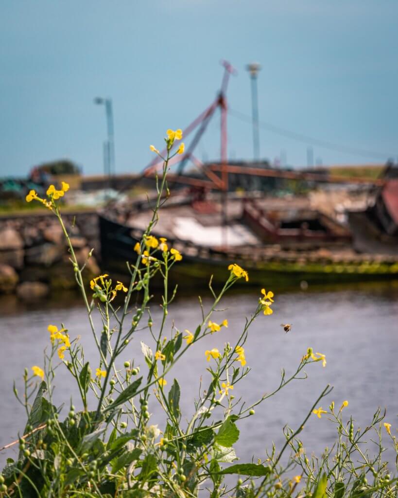Image of a shipwreck in Galway city