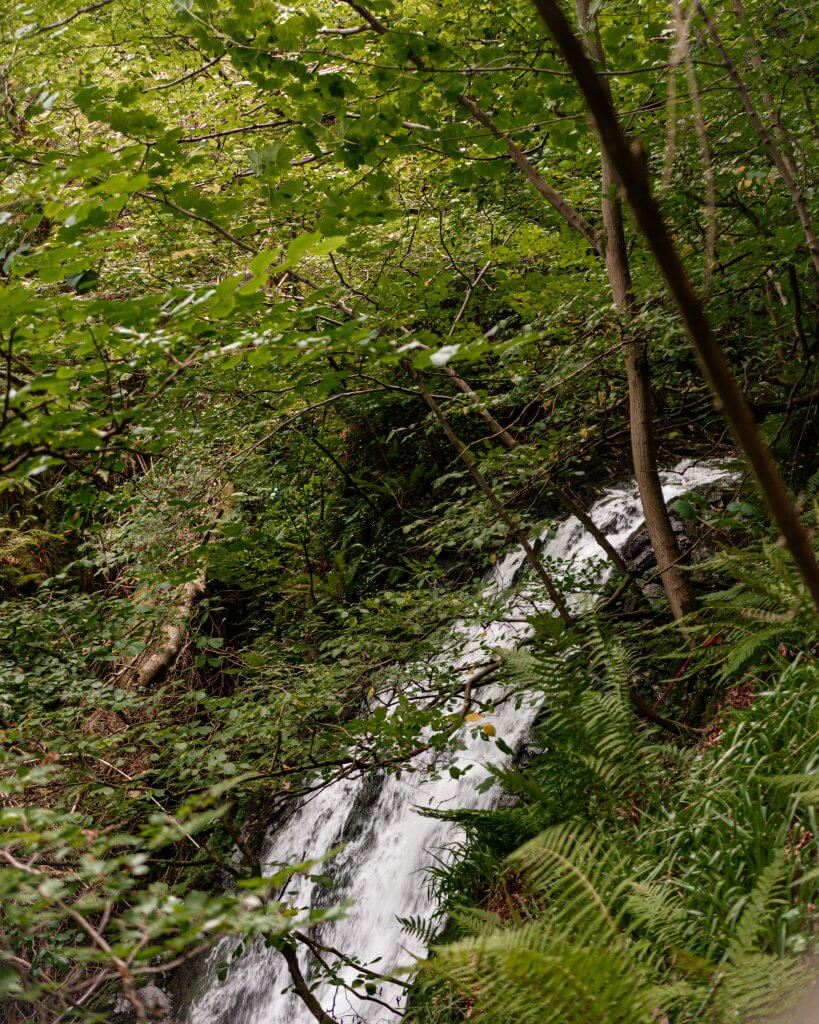 Glenoe waterfall a hidden gem in Antrim