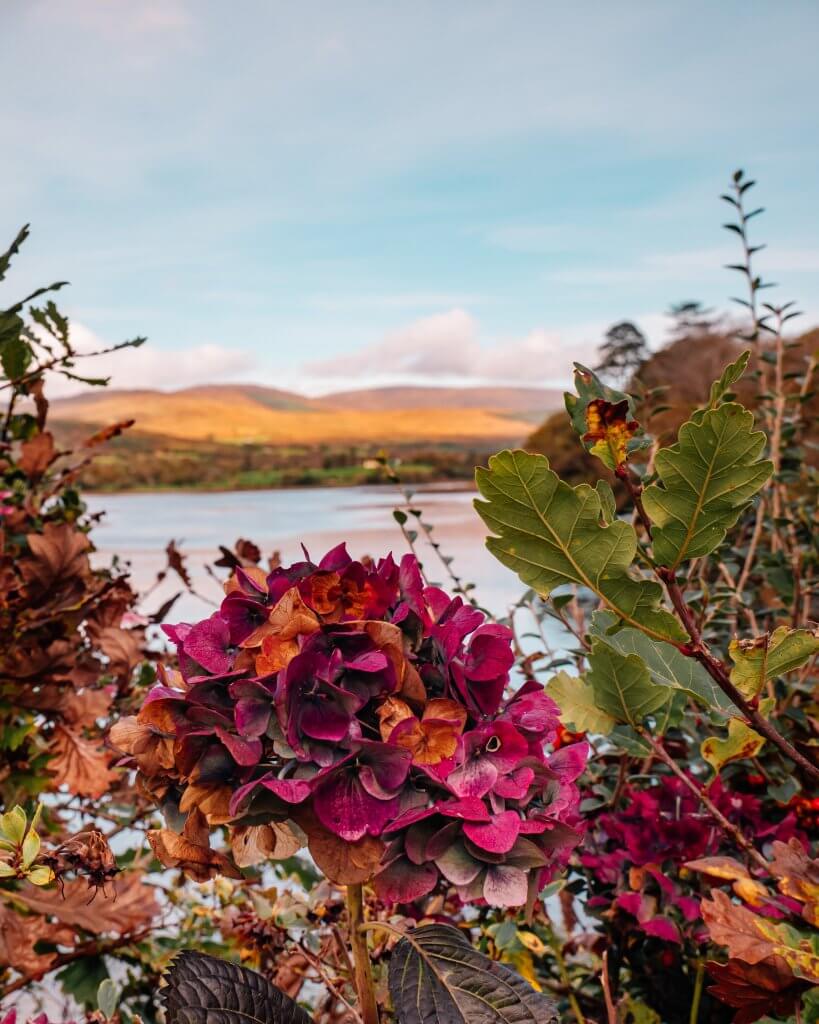 Scenic view from Sheen Falls Lodge, showcasing the stunning natural surroundings and tranquil ambiance.