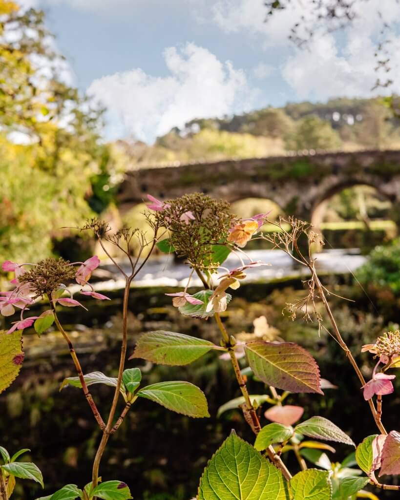 Sheen Falls Lodge's wedding venue, offering couples a fairy-tale setting for their special day.