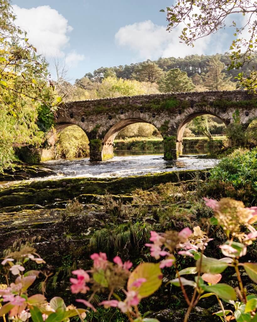 Sheen Falls Lodge's iconic waterfall, a mesmerizing natural wonder that adds to the hotel's charm.