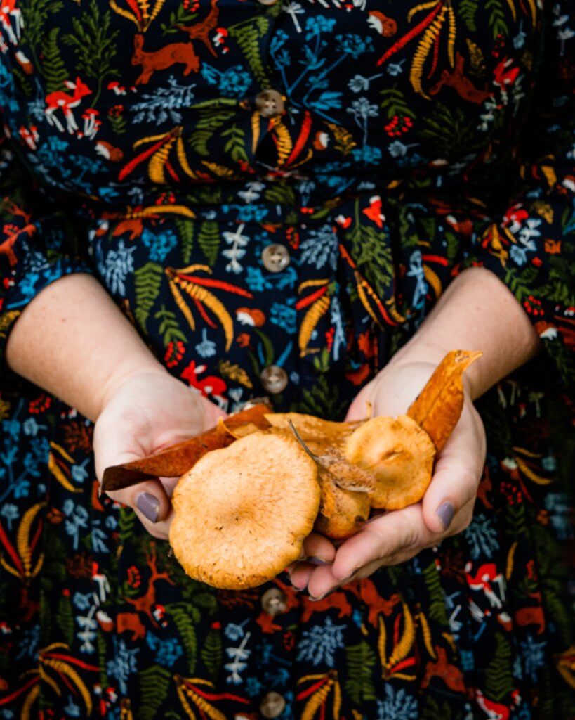 Woman holding a handful of mushrooms picked at Swiss Cottage Cahir
