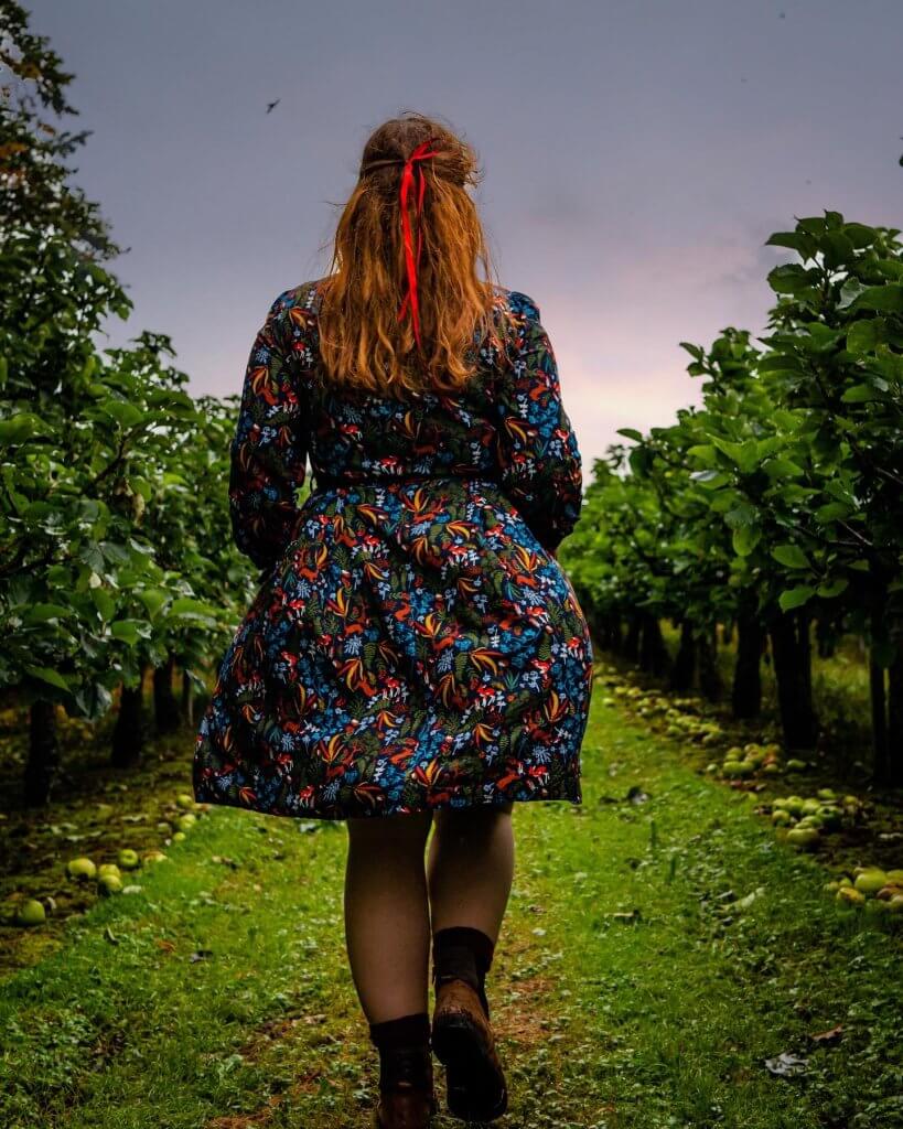 Women picking apples at an orchard in Tipperary