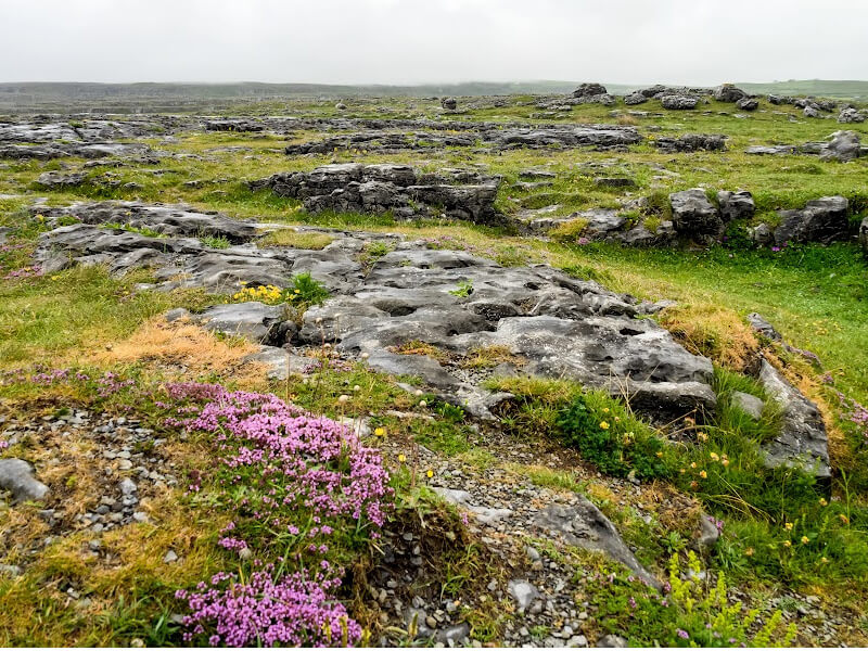 The Burren County Clare Ireland
